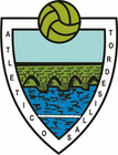Escudo anterior de Atlético Tordesillas
