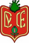 Escudo asociado a Cúllar Vega C.F.