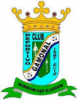Escudo anterior de C.D. Groggys's Gamonal