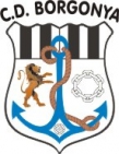 Escudo anterior de C.D. Borgonyà