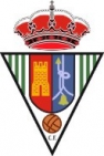 Escudo de Salar C.F.