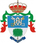 Escudo asociado a C.D. Sauzal Sabater