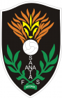 Escudo de Santa Ana F.S.