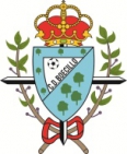 Escudo anterior de C.D. Boecillo