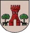 Escudo de C.D. Torrelobatón [2]