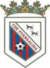 Escudo anterior de C.D. Fuensalida [1]
