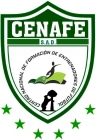 Escudo anterior de S.A.D. Racing Madrid City F.C.