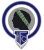 Escudo anterior de Hércules de Alicante C.F.