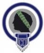 Escudo anterior de Hércules de Alicante C.F.