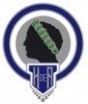 Escudo anterior de Hércules de Alicante C.F.