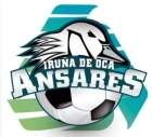 Escudo asociado a C.D. Ansares