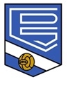 Escudo anterior de C.D. Sariñena