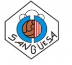 Escudo anterior de C.D. Cantolagua