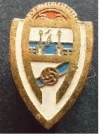Escudo asociado a Unión de La Arena