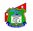 Escudo anterior de C.D. Colonia Ofigevi