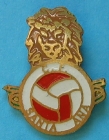 Escudo anterior de C.F. Santa Ana