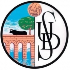Escudo anterior de C.D. Salamanca F.F.