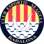 Escudo de C.E. Seagull BDN