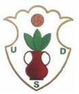 Escudo anterior de U.D. Sariego