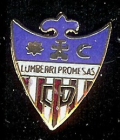 Escudo anterior de C.D. Ilumberri