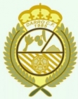 Escudo de Darro C.F. 1985