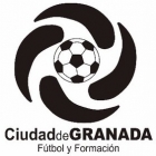 Escudo anterior de C.D. Ciudad de Granada F.F.