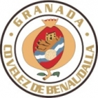 Escudo anterior de C.D. Vélez de Benaudalla