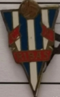 Escudo anterior de C.D. Ribes