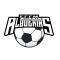 Escudo de E.F.F.M.