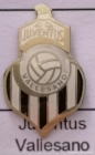 Escudo asociado a C.D. Juventud Vallesano