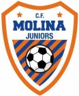 Escudo anterior de C.F. Molina Promesas