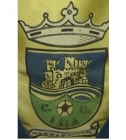 Escudo de C.D. Esla