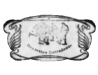 Escudo anterior de C.D. Estradense