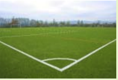 Campo Municipal Ametsa