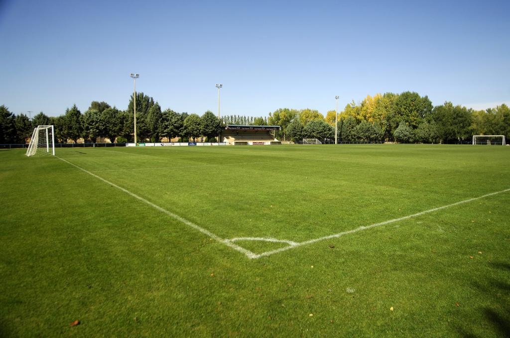 Campo municipal de Medina de Rioseco
