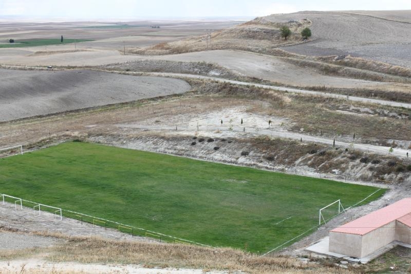Campo Municipal de Tiedra