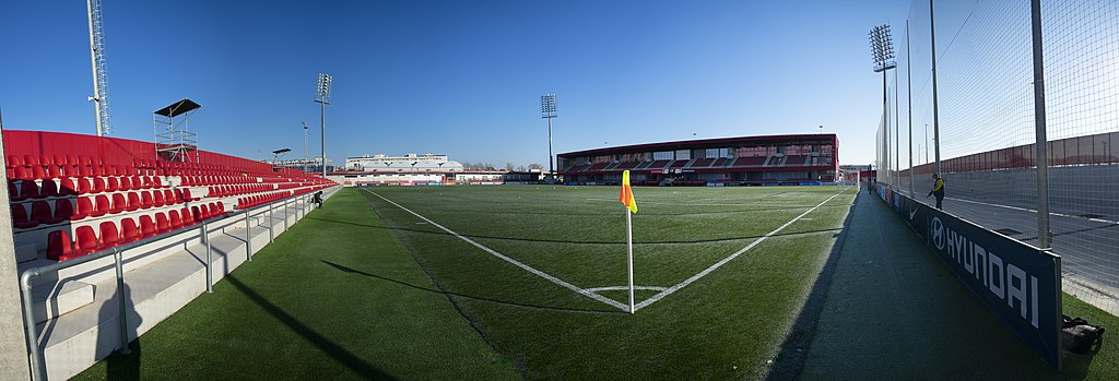 Centro Deportivo Alcalá de Henares, campo principal